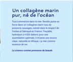 collagène marin français